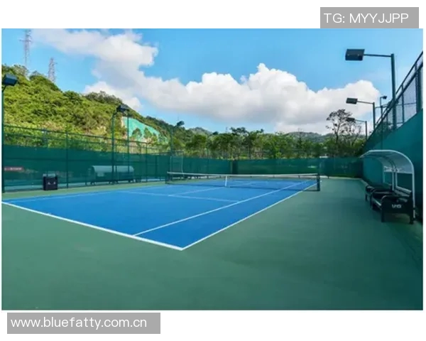 杭州网球队的阵地战揭秘：深度解析网球战术与团队协作