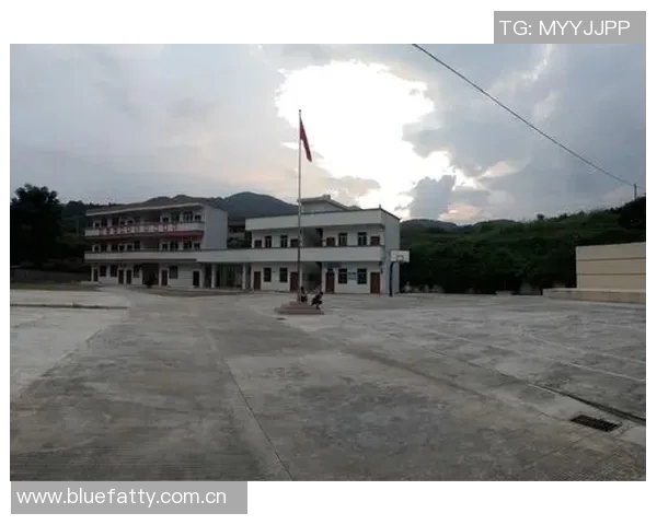 李军篮球生涯回顾与展望：从球场到人生的精彩对话