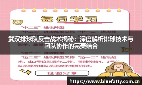 武汉排球队反击战术揭秘：深度解析排球技术与团队协作的完美结合