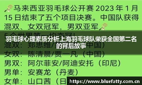 羽毛球心理素质分析上海羽毛球队荣获全国第二名的背后故事