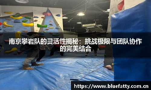 南京攀岩队的灵活性揭秘：挑战极限与团队协作的完美结合