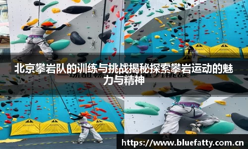 北京攀岩队的训练与挑战揭秘探索攀岩运动的魅力与精神